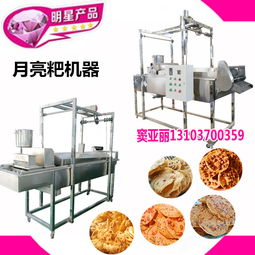 【cctv10專訪燈盞粑機器自動注漿自動成型油炸燈盞粑設備】- 