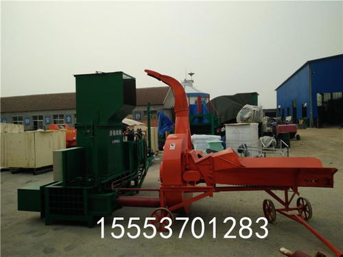 全自動(dòng)蒜皮打包機(jī)圖片